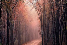 国球进社区 奥运冠军在蓉与居民“同台竞技”2025-03-13.