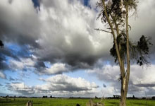 炒翻了!票面元的国足球票黄牛卖元,连号价格近万元.